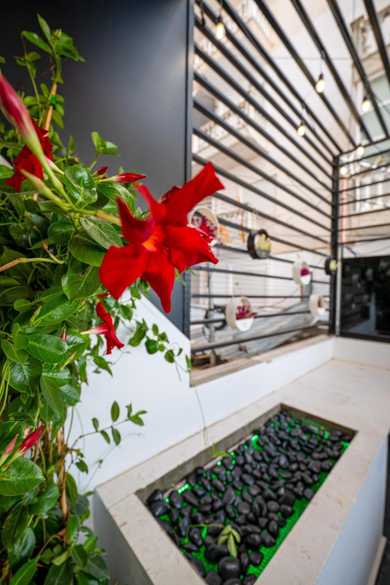 Mato Luxury Apartments Sarandë エクステリア 写真